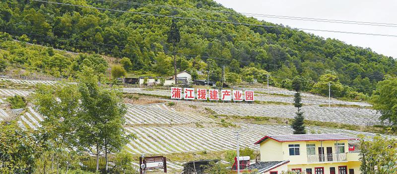 蒲江对口帮扶泸定递出漂亮“成绩单”