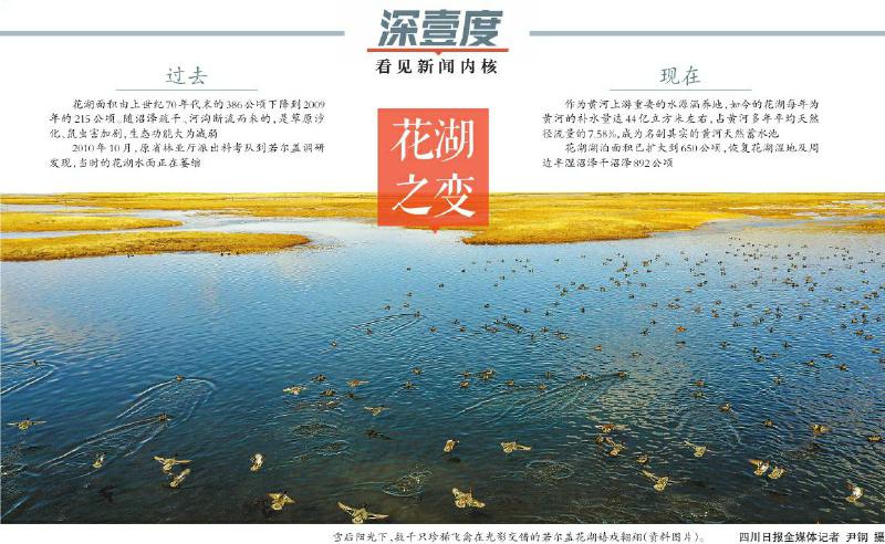 水位升高30厘米，面积扩大两倍多—— 若尔盖花湖是如何“长高”“变胖”的？