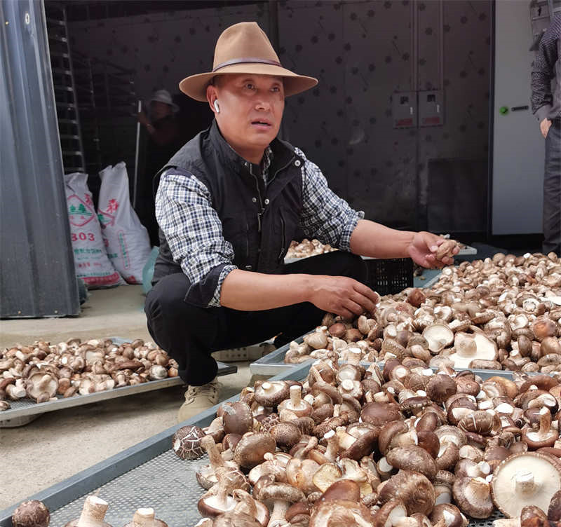 深山致富路上带头人 ——记理塘县木拉镇马岩村离任村支部书记降措