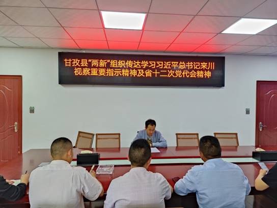 甘孜县“四抓”推动“两新”党建上新台阶