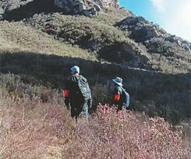 这支高原护林队，护林20多年，反盗猎、反滥伐、救助野生动物…… 他们的故事被拍成电影